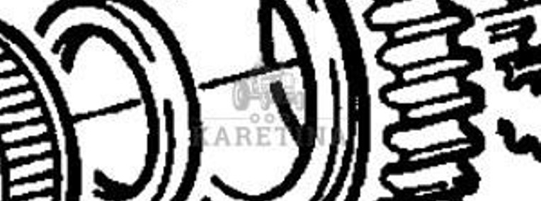 Fendt Favorit 514 Koło Zębate Walcowe CZĘŚCI 514100220110-1