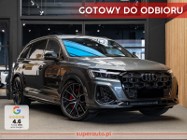 Audi Q7 II 60 TFSI e quattro S Line 3.0 60 TFSI e quattro S Line (490KM) Dach szklany