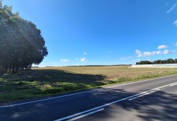 Działka rolna Jezierzyce Kościelne, ul. Leszczyńska