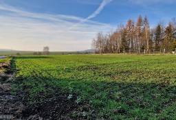 Działka budowlana Brzezinka