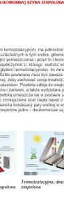 Regulacja Okna Gdańsk Zaspa Chełm Żabianka Przymorze-4