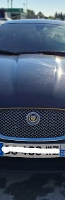 Jaguar XF X250 Jagura xf-3