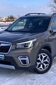 Subaru Forester IV-2