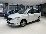 Skoda Fabia III Ambition, PDC, Tempomat, Salon PL, 1-wł, FV-23%, gwarancja, DOSTAWA