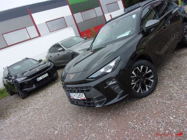Cupra-1