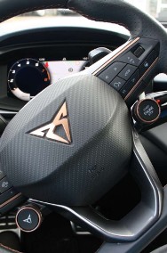 Cupra-2