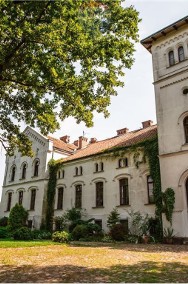 Inwestycja w Historię - Pałac Biały Książę-2