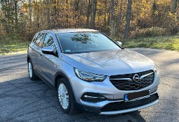 Opel Grandland X ELITE 2.0 CDTI, Salon Polska