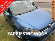 Volkswagen Golf VII Trendline, benz,nawigacja, rozrząd wymieniony,opony wielosezonowe no