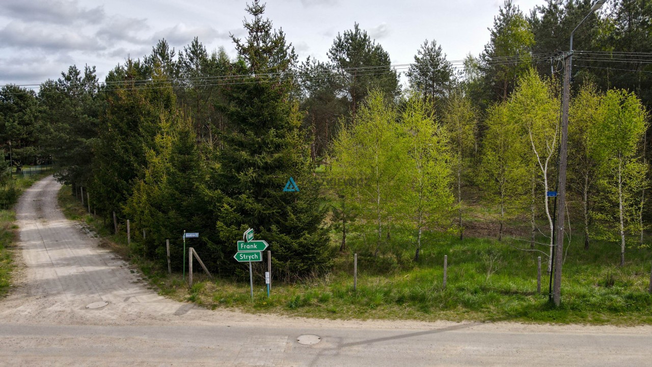 Frank - działka z własnym lasem - Widok 3