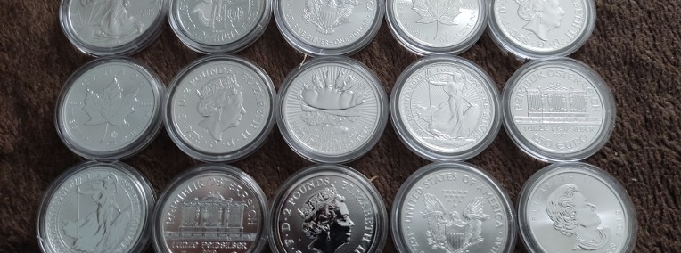 15 srebrnych monet 1 uncja, Stan idealny, Różne rodzaje-1