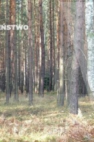 grunt leśny z możliwością uzyskania wz Warszawa-2