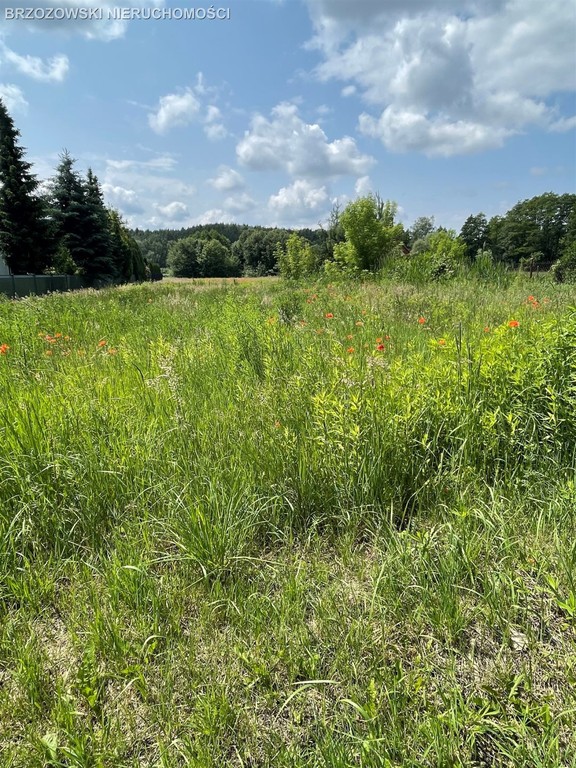 Obok parku w Powsinie, budowlana 2884 m², MPZP. - Widok 4