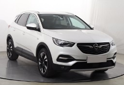 Opel Inny