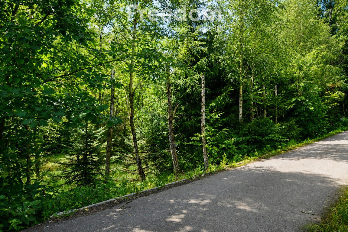 Działka budowlano usługowa 17,9 ar w lesie - View 2
