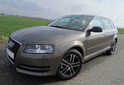 Audi A3 II (8P) 2.0 TDI 170 KM / czekolada/alkantara/kamera cofania/bluetooth