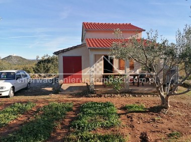 Piękny dom w gaju oliwnym-1