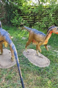 Dinozaur ogrodowy, niepowtarzalna okazja !-3