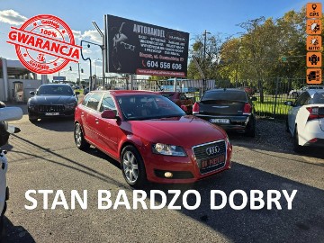 Audi A3 II (8P) 1.8 TFSI 160 KM, Bluetooth, Klimatyzacja, Alufelgi, Komputer, 2 Kluc