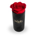 Czerwona wieczna róża Warszawa prawdziwy kwiat na prezent
