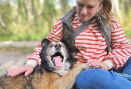 Szukamy troskliwej rodziny dla Nanuka - psiego seniora