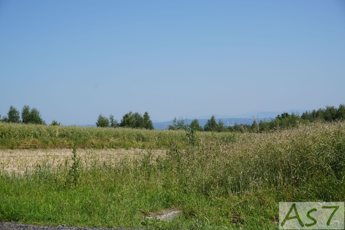 Działka inwestycyjna Czułów, małopolskie
