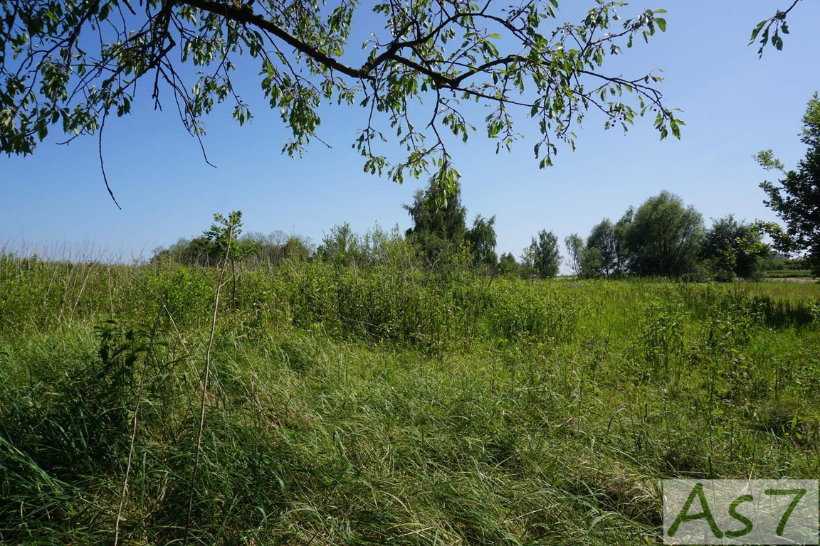 Działka inwestycyjna Czułów - Widok 3