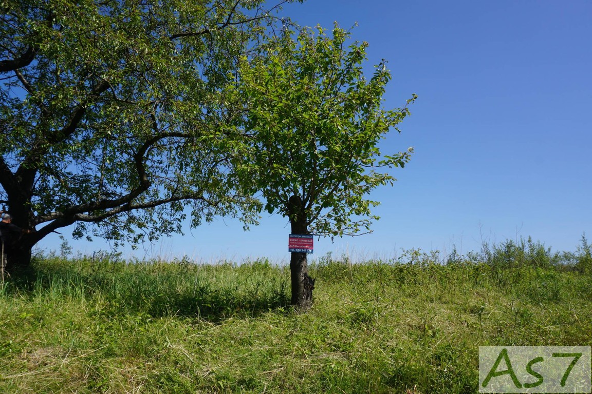Działka inwestycyjna Czułów - Widok 5
