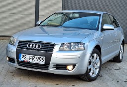 Audi A3 II (8P) *benzyna*1.6MPi**BARDZO ŁADNA**ALUfelgi**KLiMAtronik*