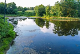 Działka inna Higbee