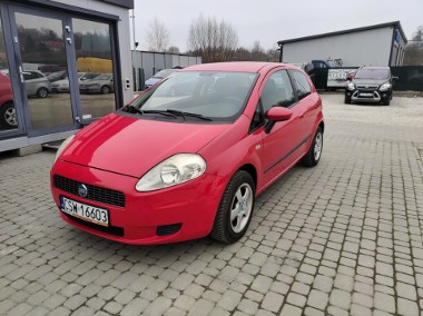 Fiat Punto-1