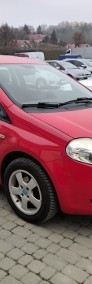 Fiat Punto-3