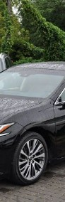 Lexus ES VII LEXUS ES 300h Hybryd Business Edition SALON POLSKA 2019-4