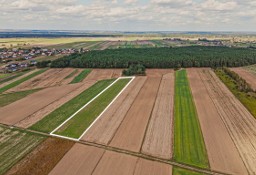 Działka usługowa Emilianów