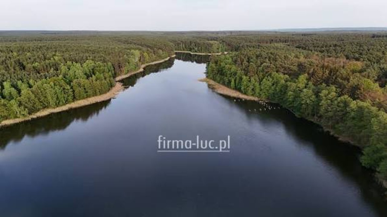 dom na sprzedaż