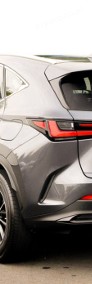 Lexus NX NX 14- 350h Prestige 2.5 Hybrid NX 350h Prestige 2.5 Hybrid | Kamera cofani-4