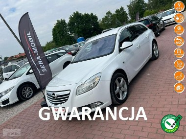 Opel Insignia I Country Tourer Zarejestrowany, Navi-1