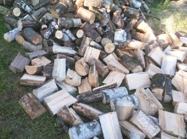 Drewno opałowe suche cięte lub niecięte, cena za m3-1