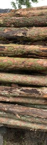 Drewno opałowe suche cięte lub niecięte, cena za m3-3