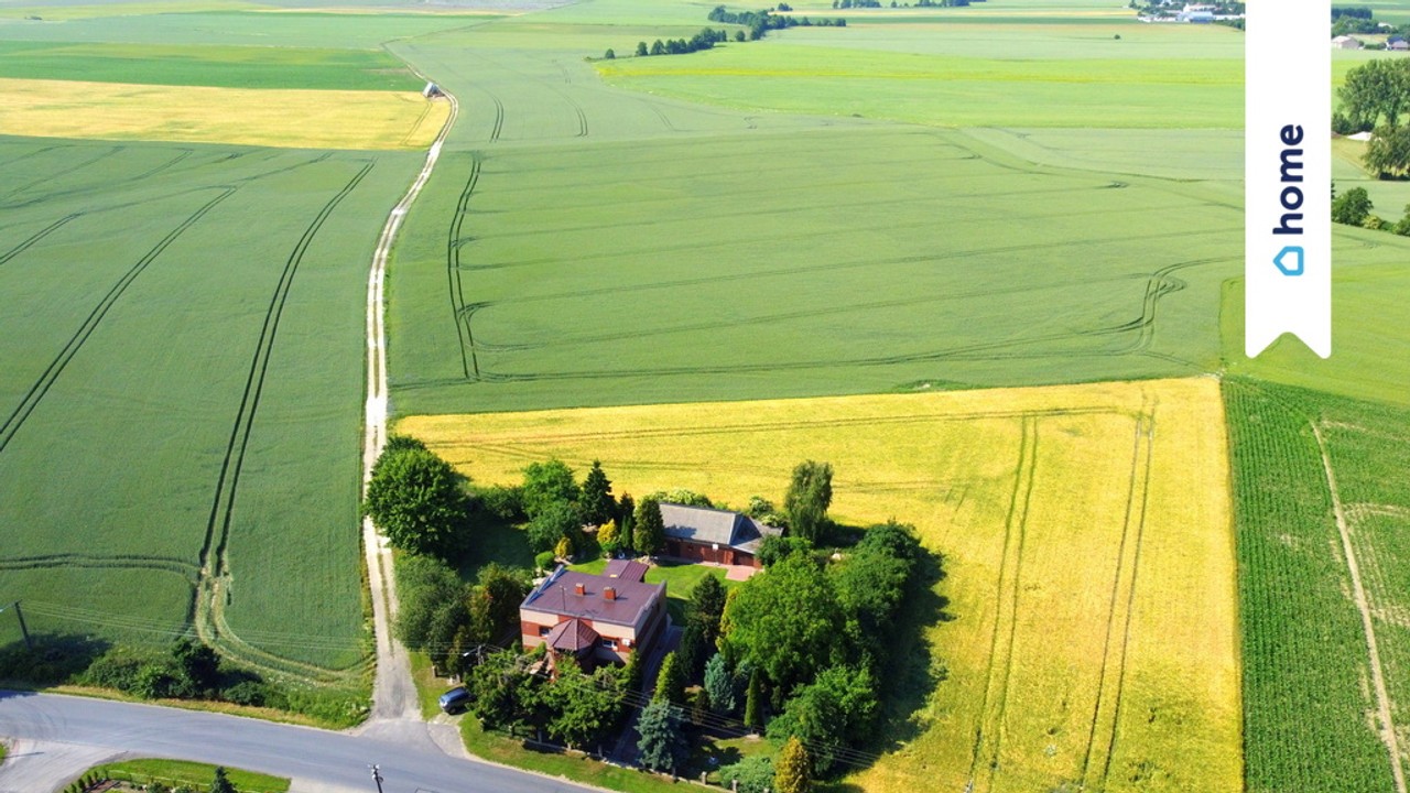 Łowinek | Dom 188 m² | 7 pokoi | 2500 m² | Garaże - Widok 5