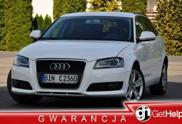 Audi A3 II (8P) 2,0 TDI 140KM lift Xenon Led Navi PDC Alufelgi Super Stan z DE !!