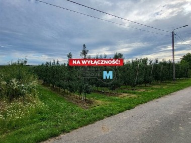 Działka rolna (sad) w okolicach Sandomierza-1