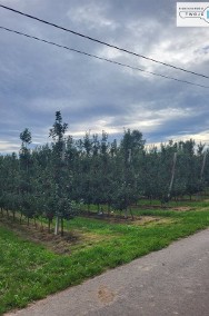 Działka rolna (sad) w okolicach Sandomierza-2