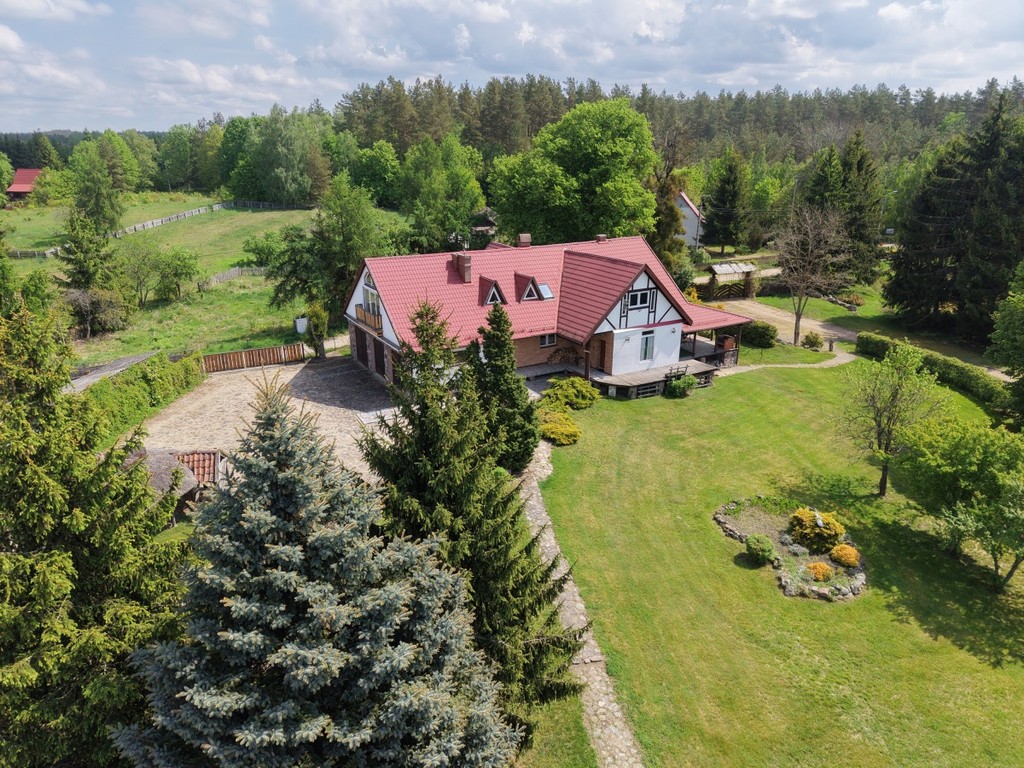 Kompleks Wypoczynkowo-Eventowy Jez. Sasek Wielki - Widok 6