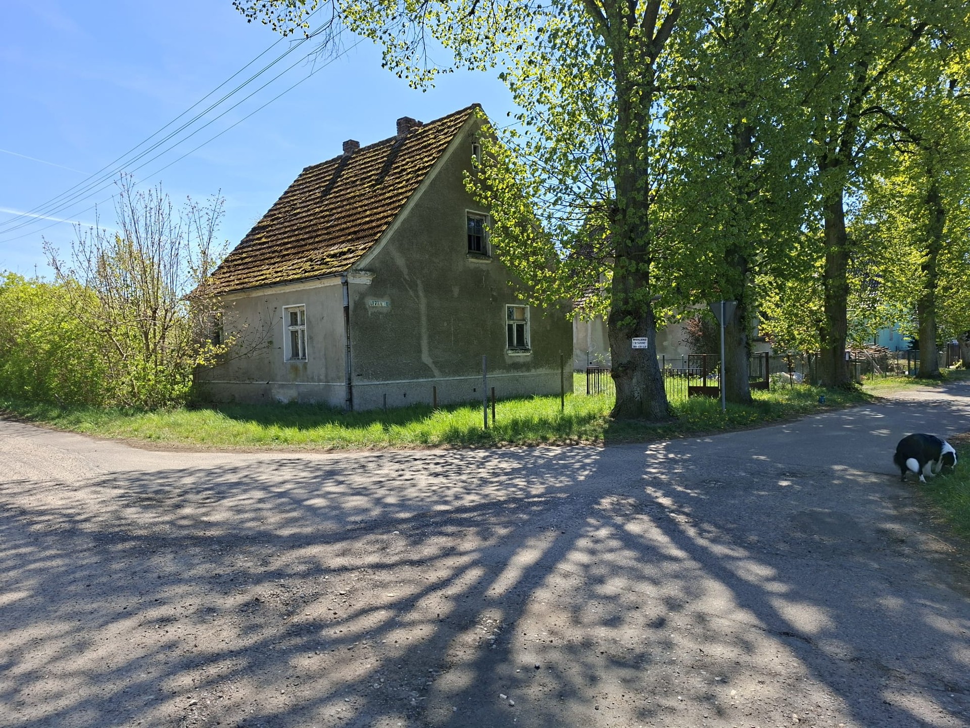 dom na sprzedaż