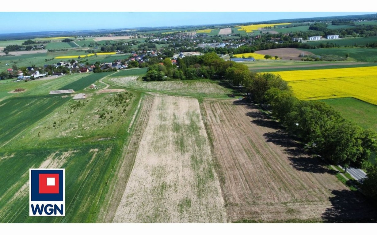Działka na sprzedaż, 4062 m², Krokowa Goszczyno - Widok 4