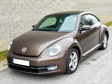 Volkswagen Beetle III-1