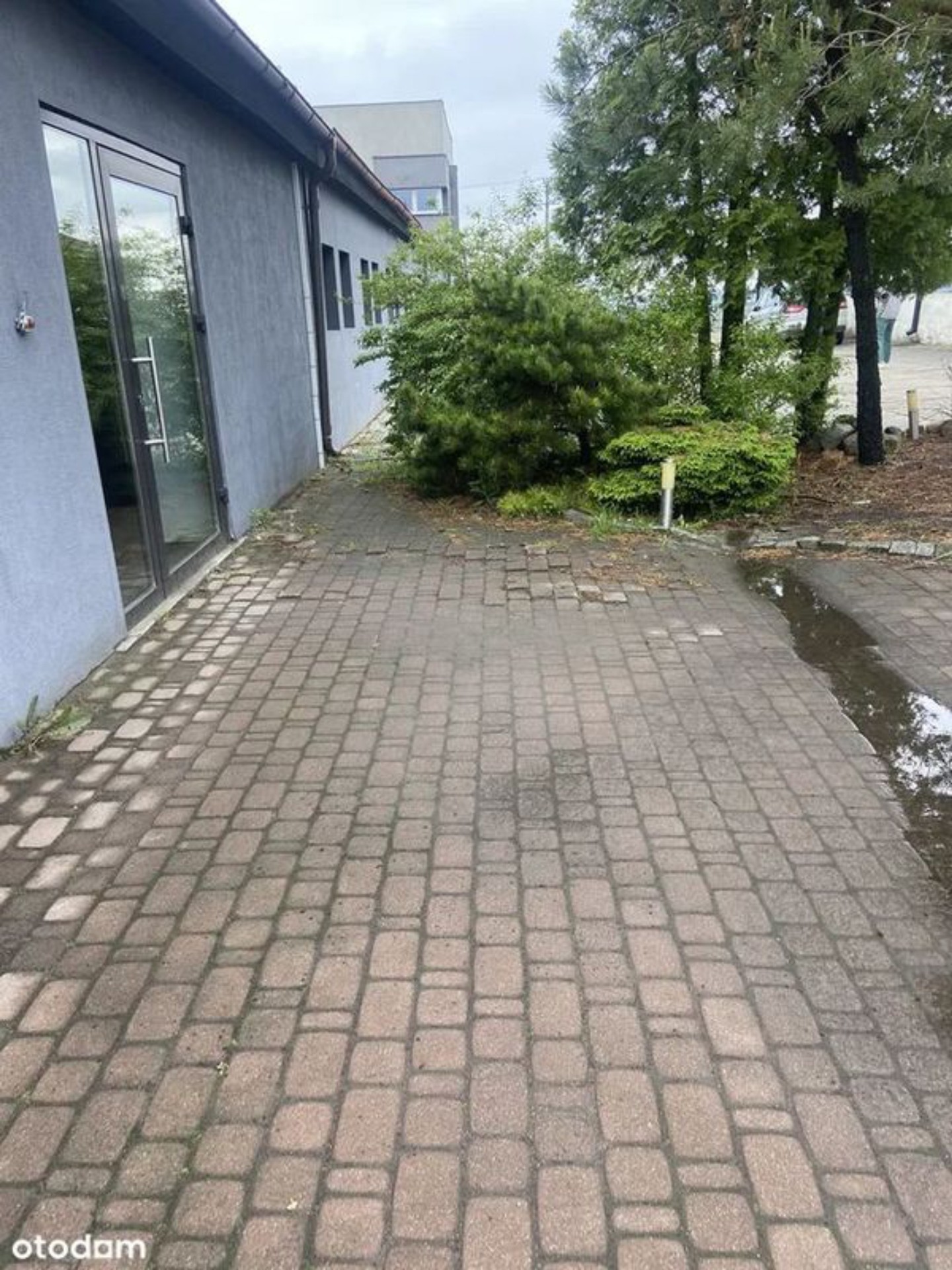 700 m² lub 350 m² | Usługi, Biura, Magazyn | 5 min od Tczewa - Widok 2