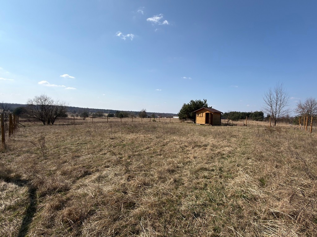 Widokowa działka budowlana położona w Sączowie- Powiat Będzin, Wolnościśląskie