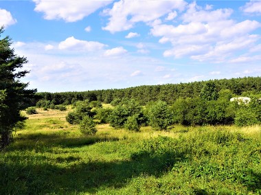 PIĘKNA DZIAŁKA BUDOWLANA NA SPRZEDAŻ DOOKOŁA LAS POSOKA GM. STARE MIASTO - 12 AR-1